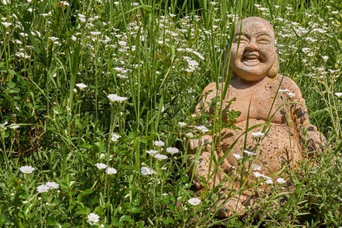 Comprendre les multiples enseignements de Bouddha