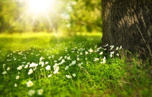 12 idées légères pour le printemps