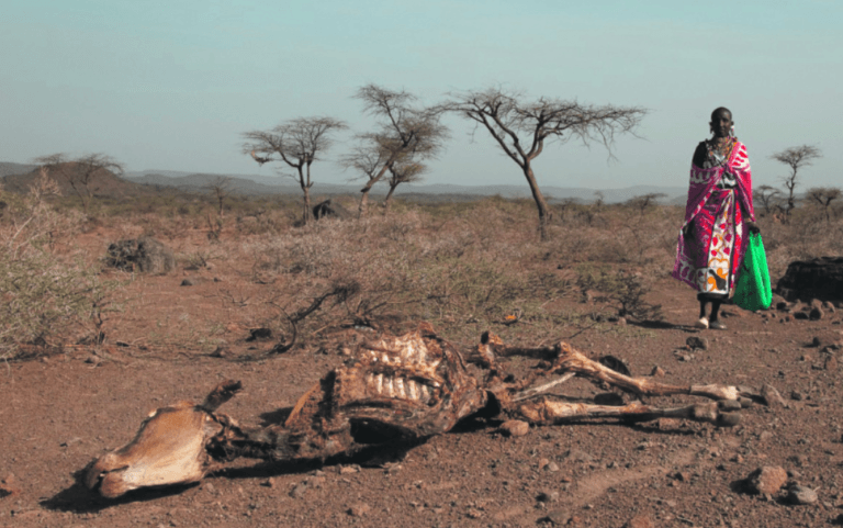 L'injustice climatique : une réalité avérée