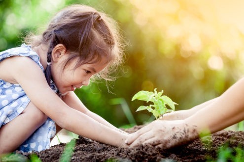4 idées pour sensibiliser les enfants à l’écologie
