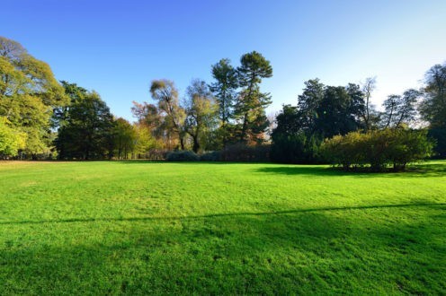 A Palaiseau, "Le Monde comme jardin" au temple protestant