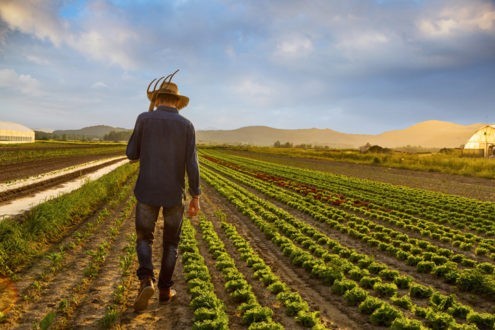 Le ras-le-bol justifié des agriculteurs
