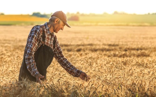 Des agriculteurs parlent de leur rapport à Dieu