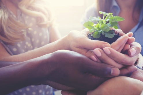 Écologie, morale et Évangile