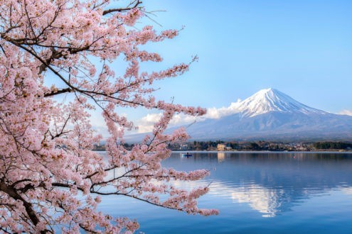 12 habitudes à emprunter aux Japonais