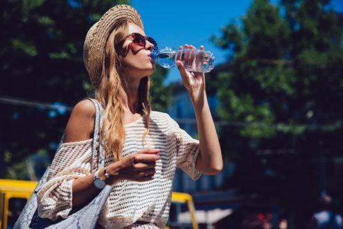 La canicule mobilise les pouvoirs publics