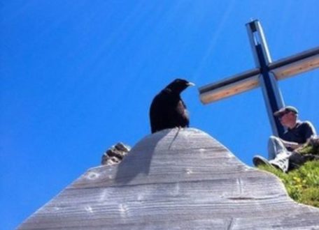 Avec Jésus, jamais la routine