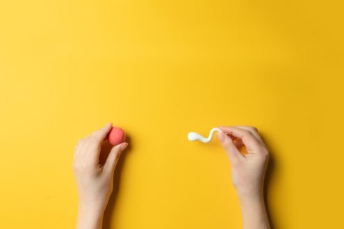 PMA pour toutes, complexifier le débat