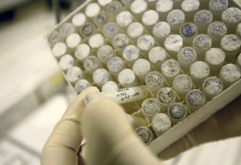 Une révision de la loi sur la bioéthique et la PMA à la rentrée