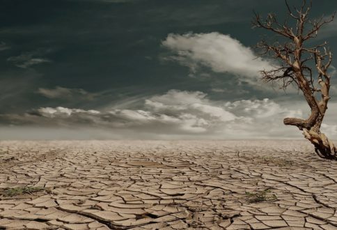 Mini-forum : l'urgence nous rattrape