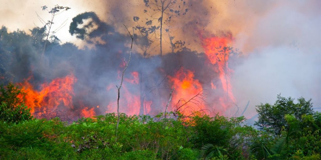 « Si l’Amazonie souffre, le monde souffre »