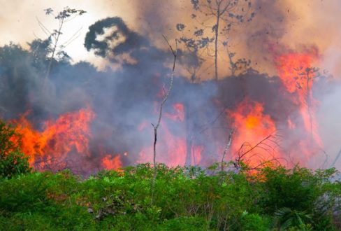 « Si l’Amazonie souffre, le monde souffre »
