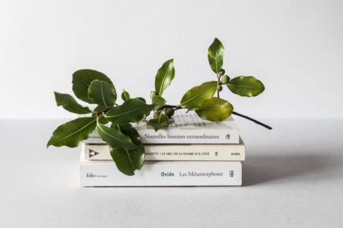 Des lectures pour la rentrée