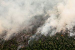 Incendies en Amazonie : la nécessité d'une réponse internationale
