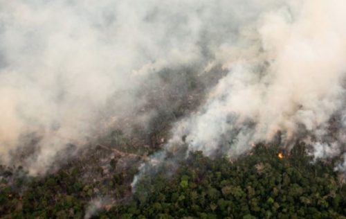 Incendies en Amazonie : la nécessité d'une réponse internationale