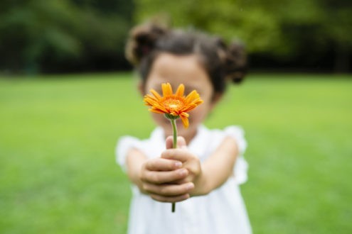 Rejoignez le challenge de la gratitude
