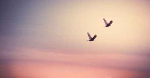 "Amazing grace"