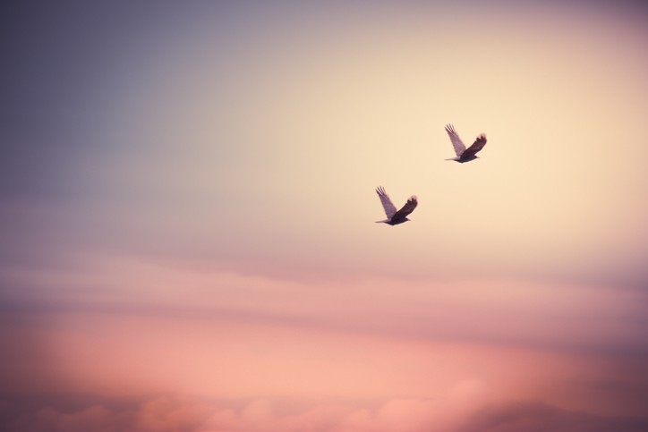 "Amazing grace"