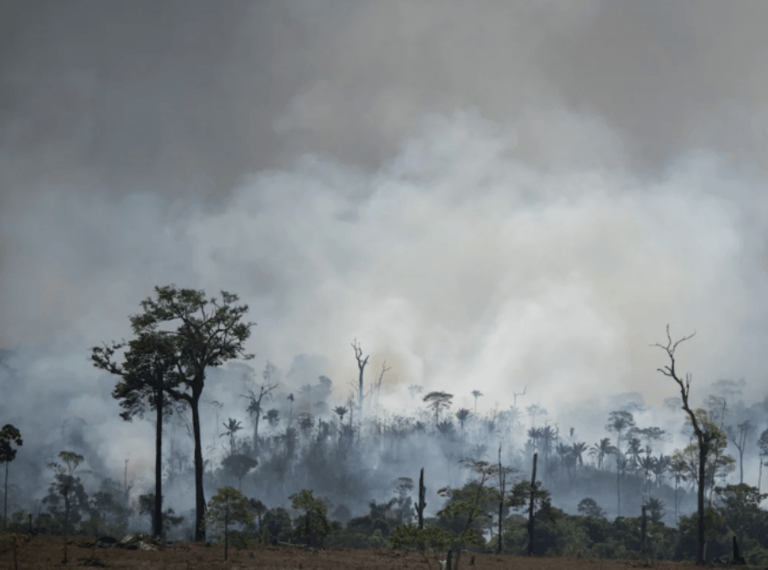 Les incendies en Amazonie creusent un fossé