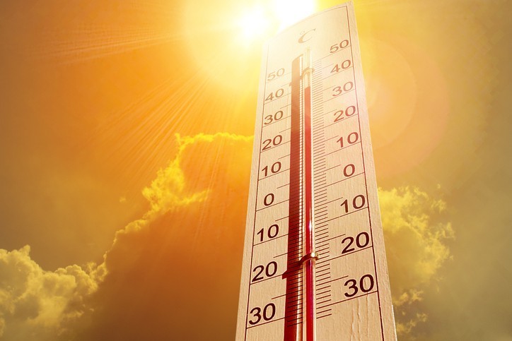 Quand la canicule battait son plein