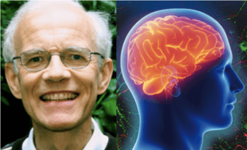 Dieu, l’homme et le cerveau