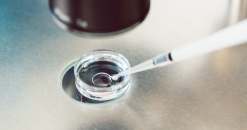 Bioéthique : une loi n’arrête pas le progrès