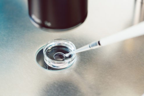 Bioéthique : une loi n’arrête pas le progrès