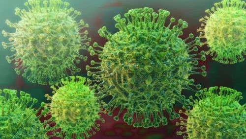 Coronavirus : la peur des épidémies