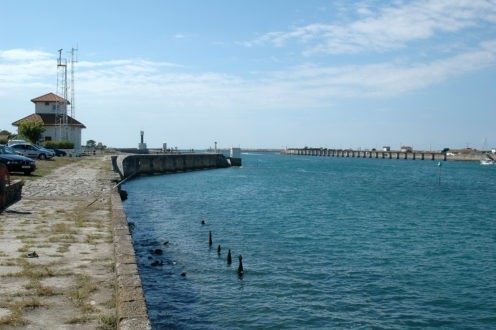 La pêche au saumon à nouveau légalisée à Bayonne ?