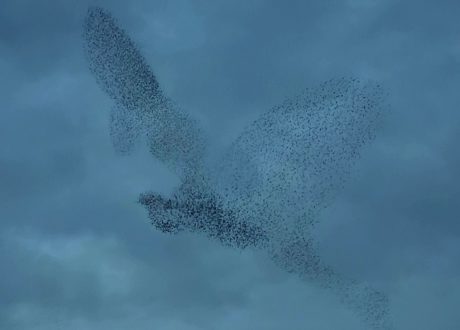 L’Ascension