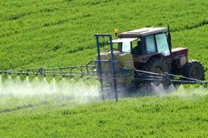 Conseil constitutionnel : coup d’arrêt au lobby des pesticides
