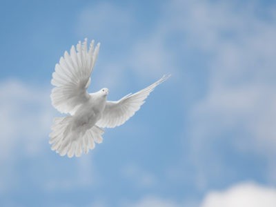Le Saint-Esprit : Dieu agit en nous !