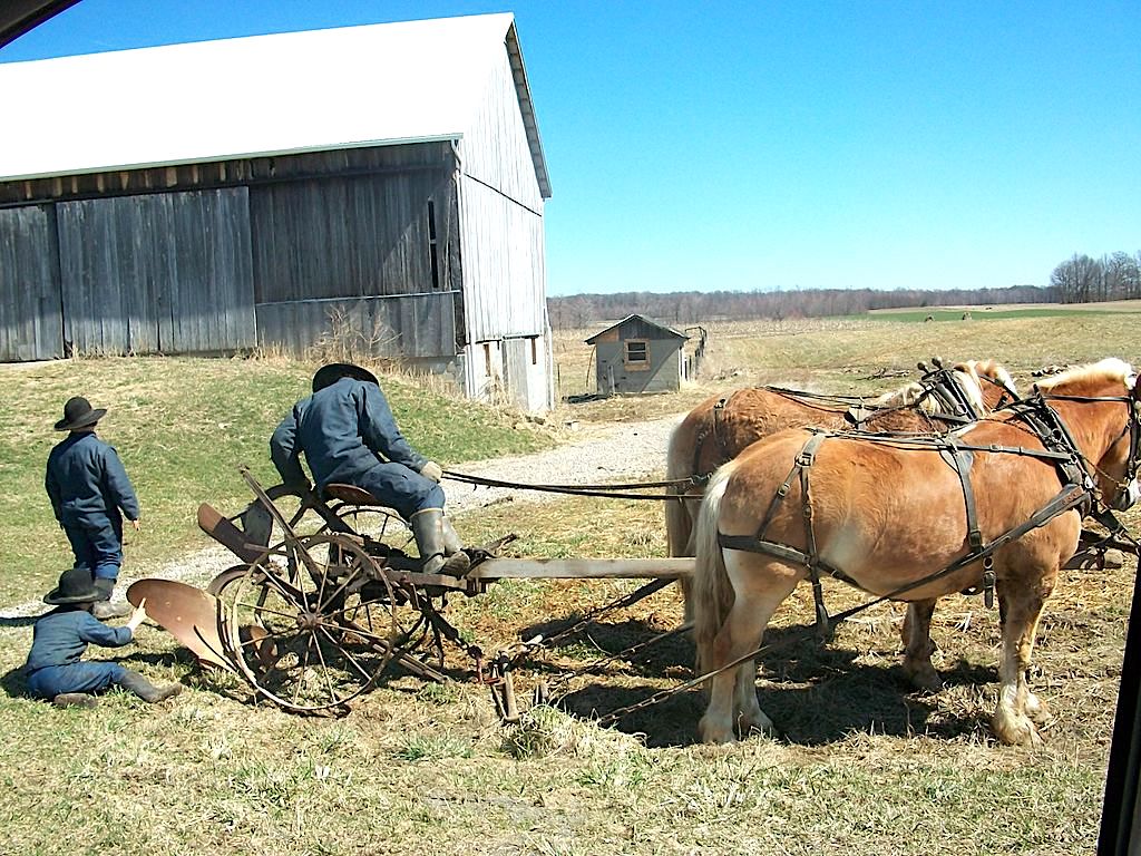 Les écologistes sont-ils des Amishs (ou inversement) ?