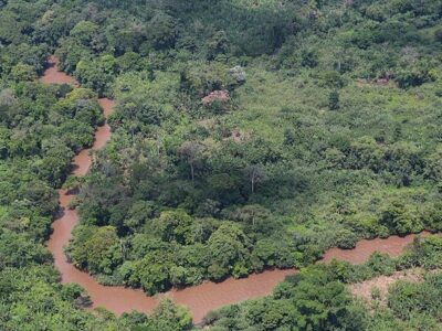 forêt Congo - Réchauffement climatique
