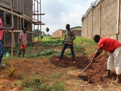 Des jardins pour nourrir Bangui
