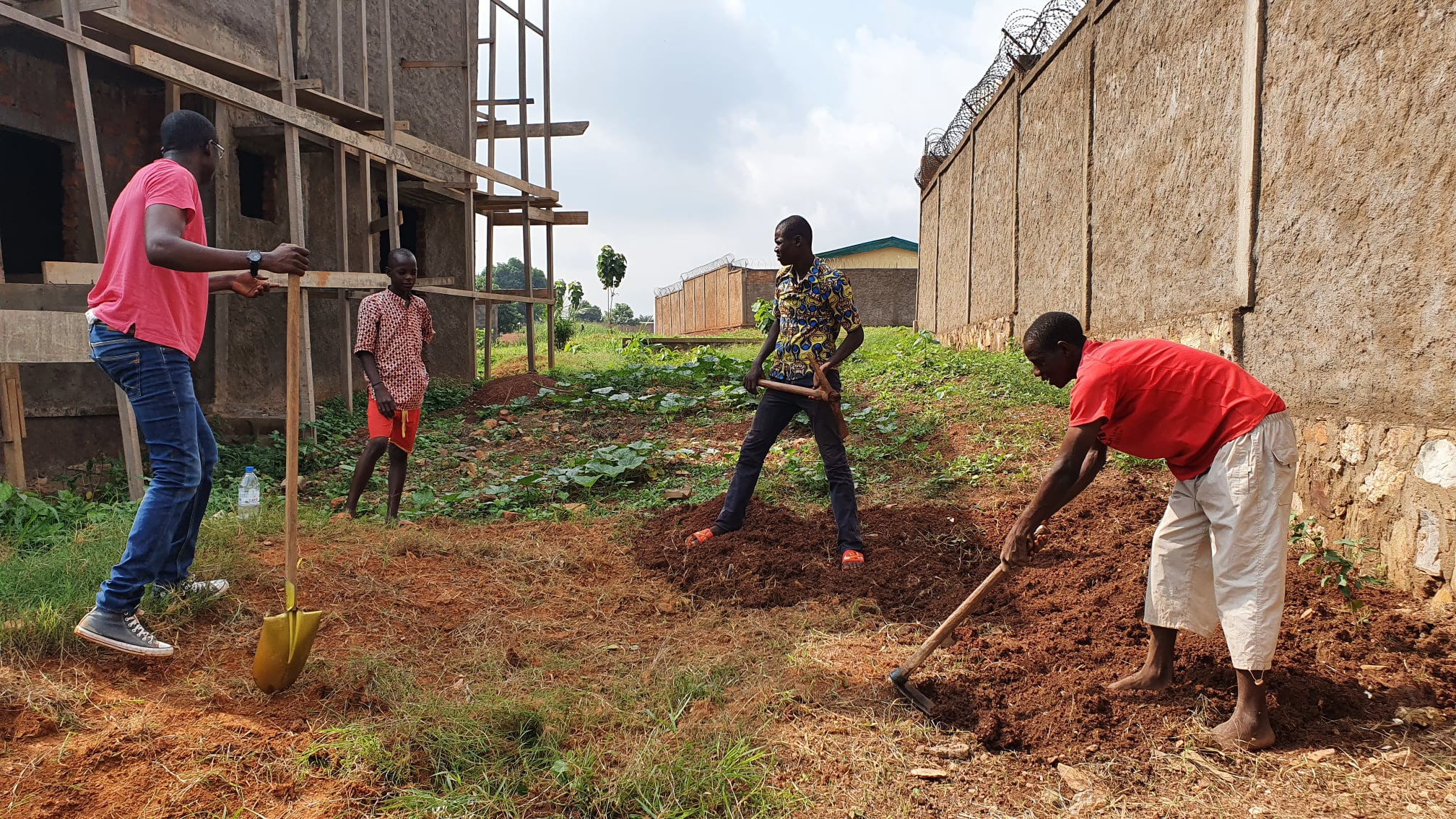 Des jardins pour nourrir Bangui