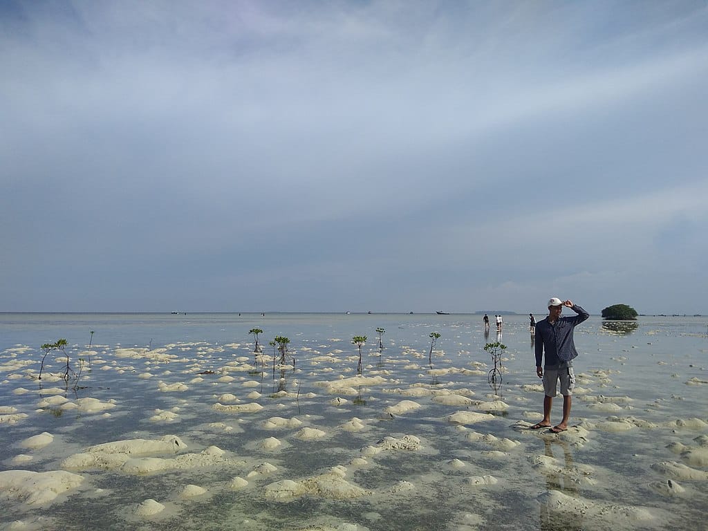 Pulau Pari
