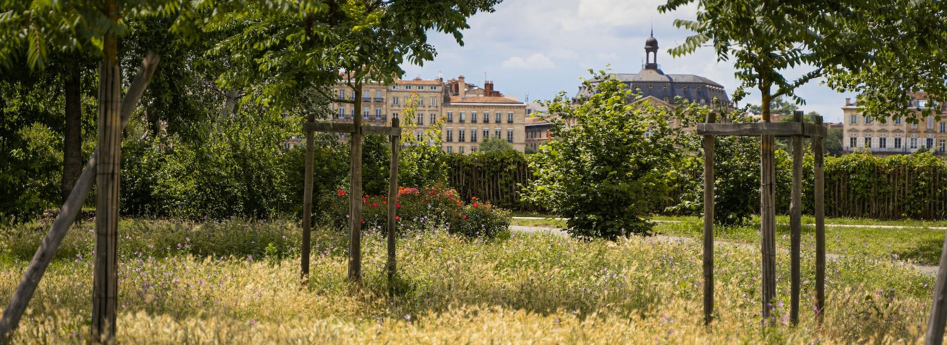 Couverture végétale - Bordeaux