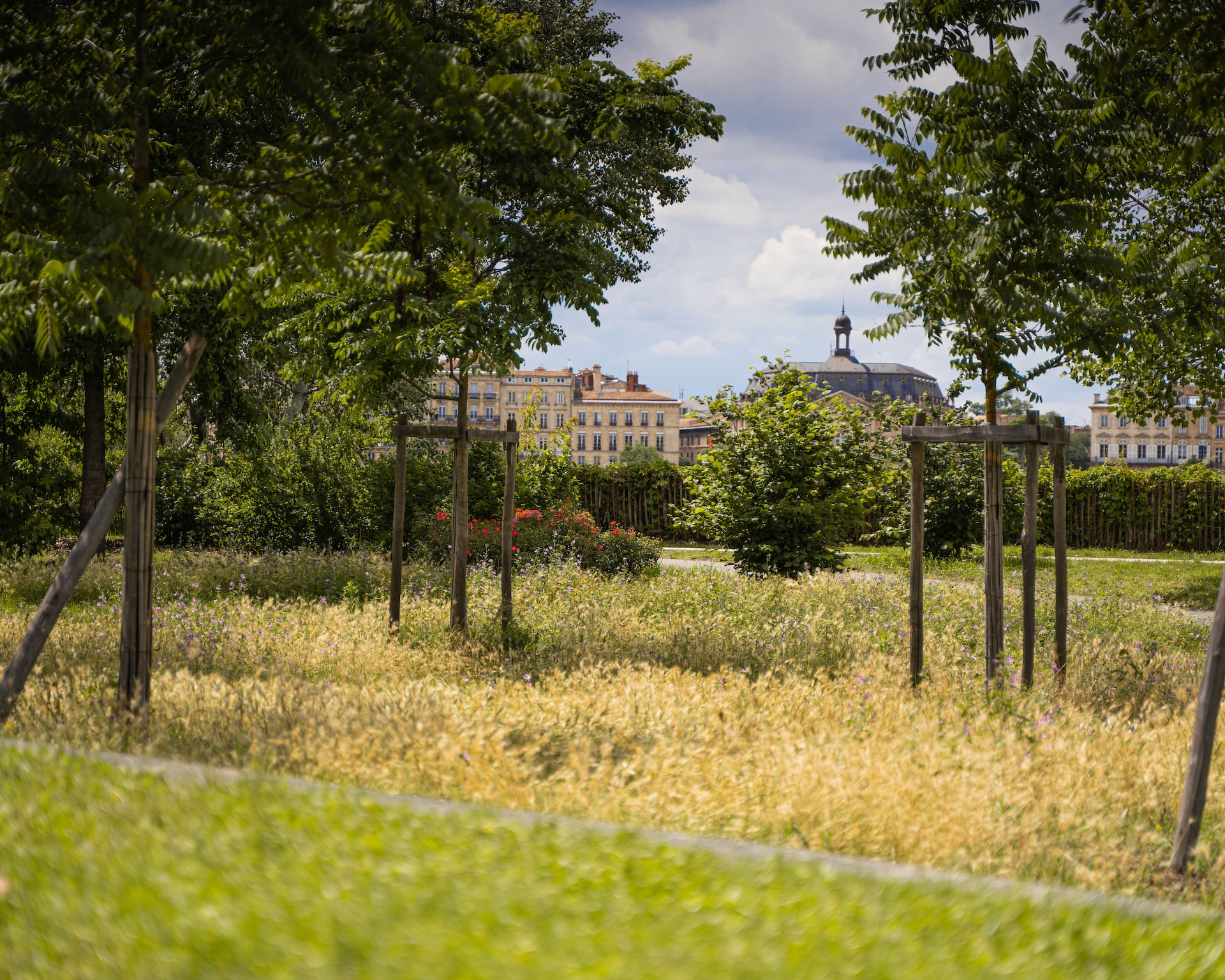 Couverture végétale - Bordeaux