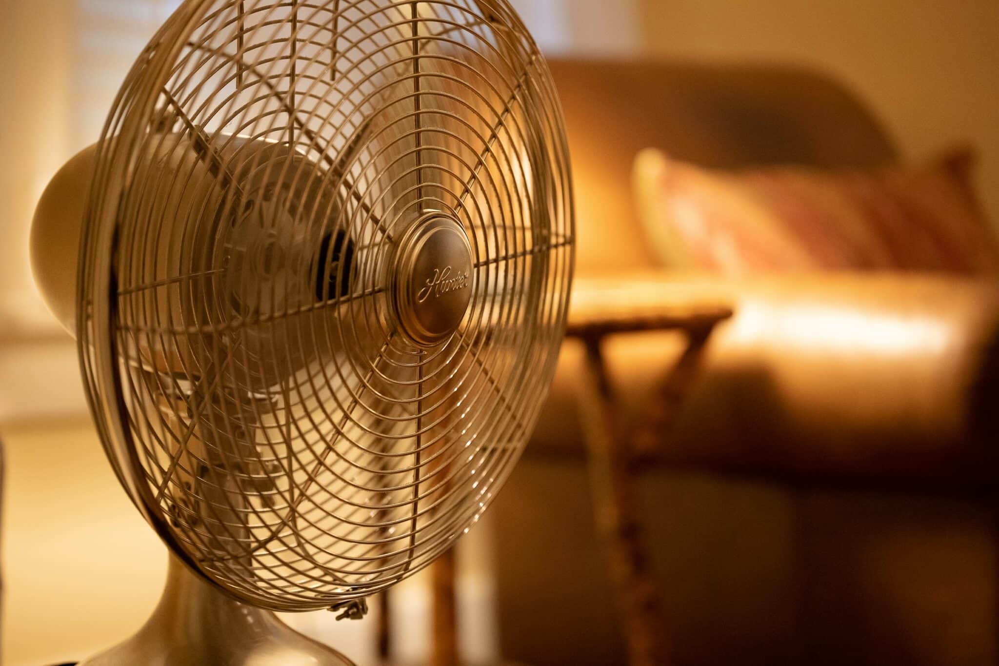 réchauffement climatique