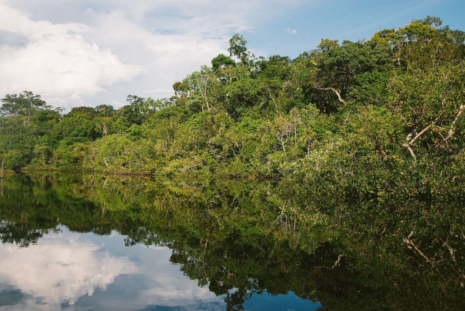 Déforestation