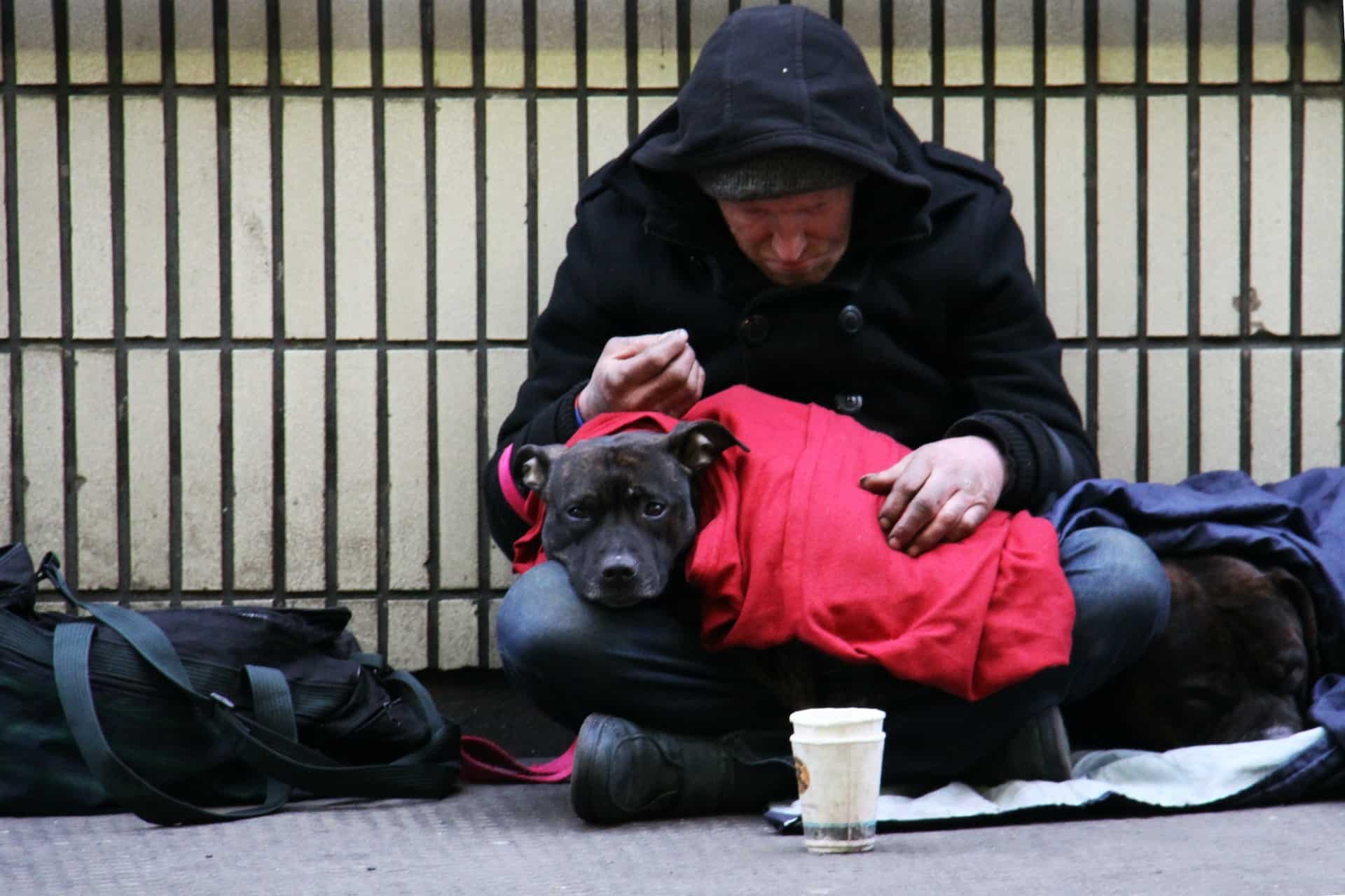 Solidarité