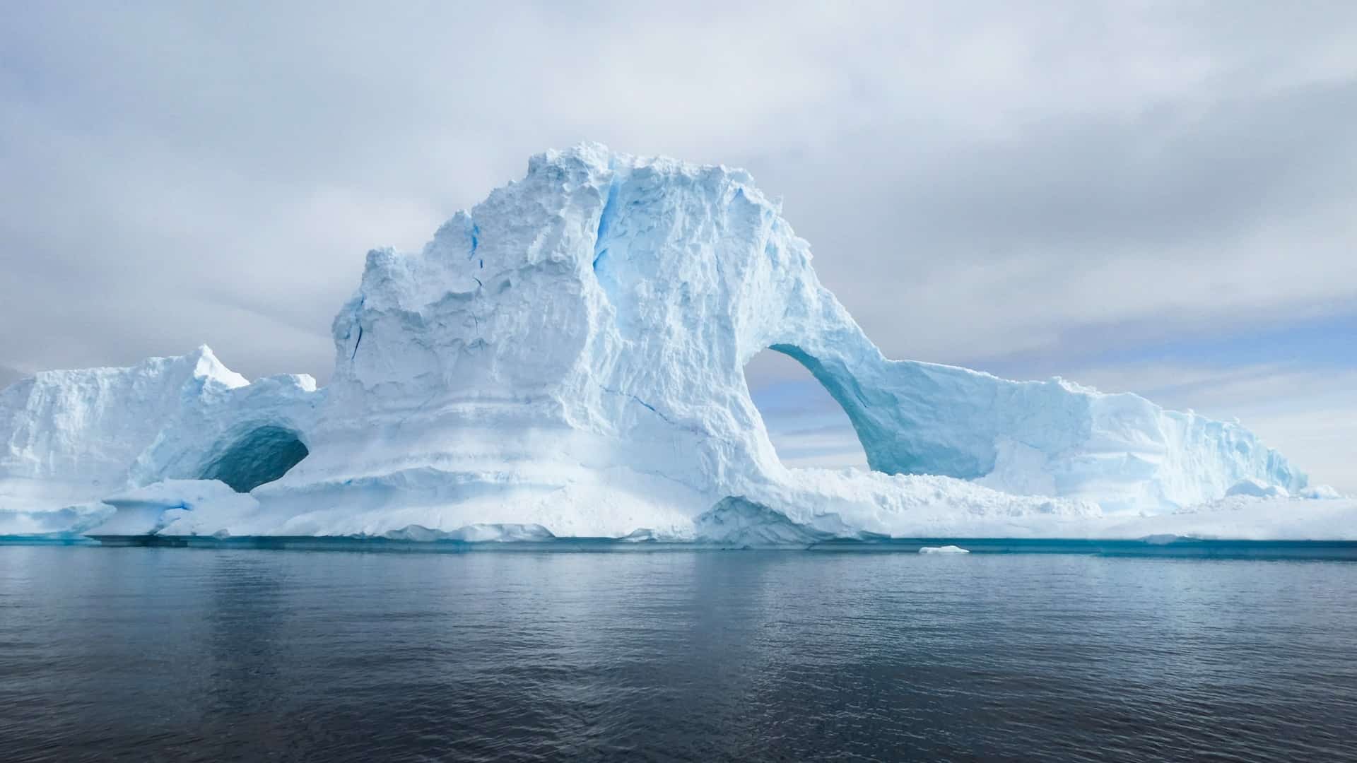Antarctique