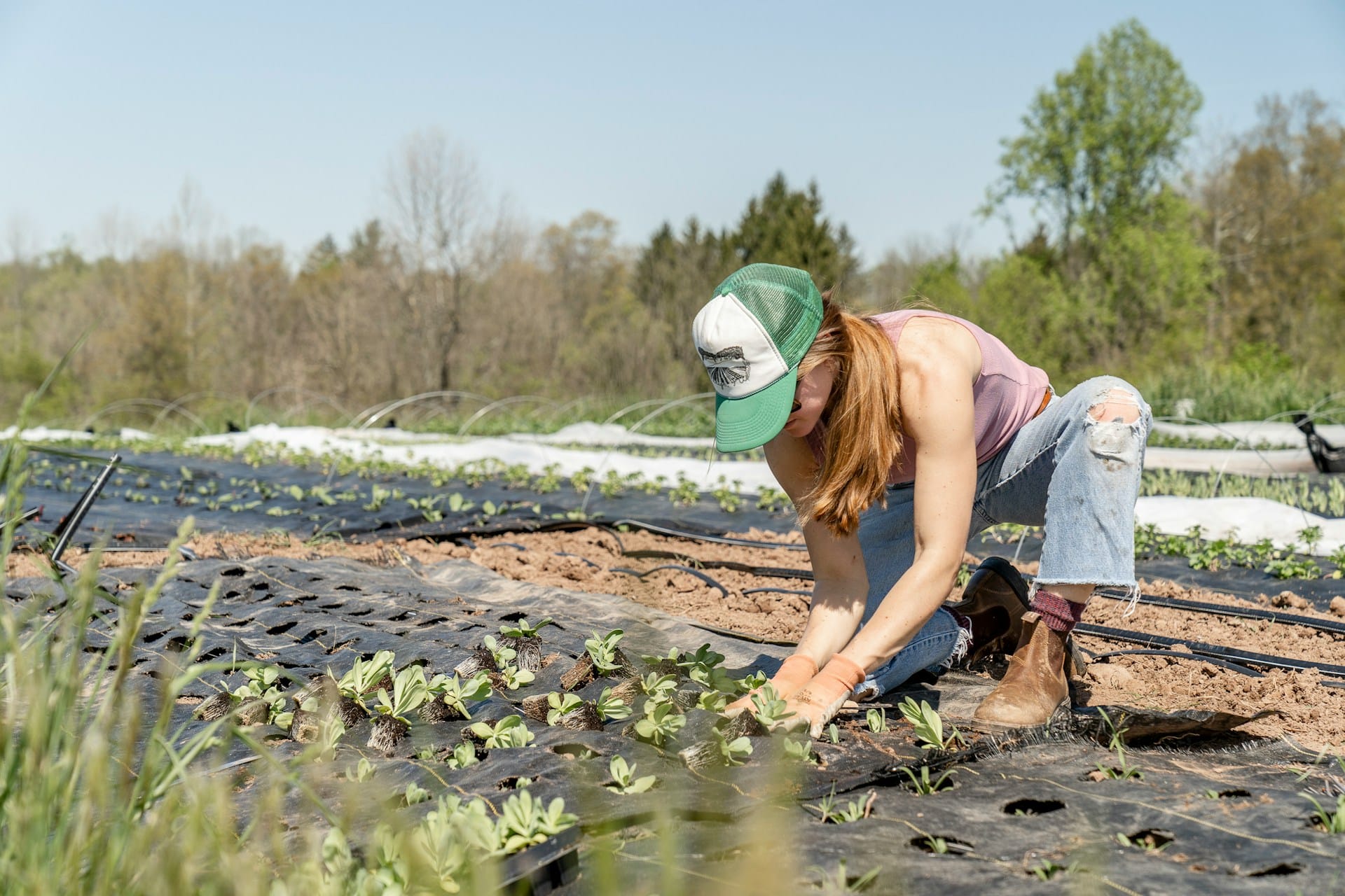 Agriculteurs
