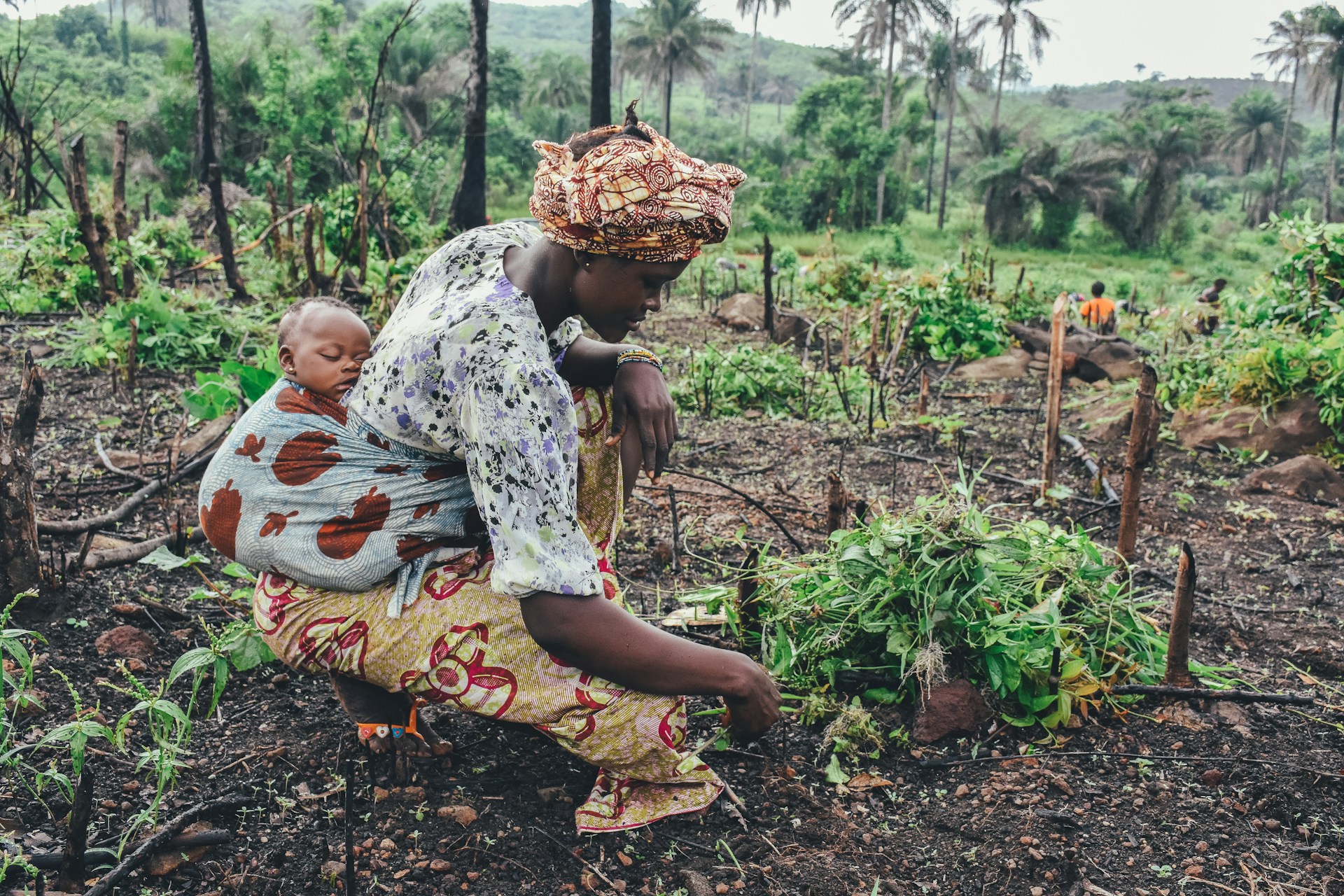 Afrique