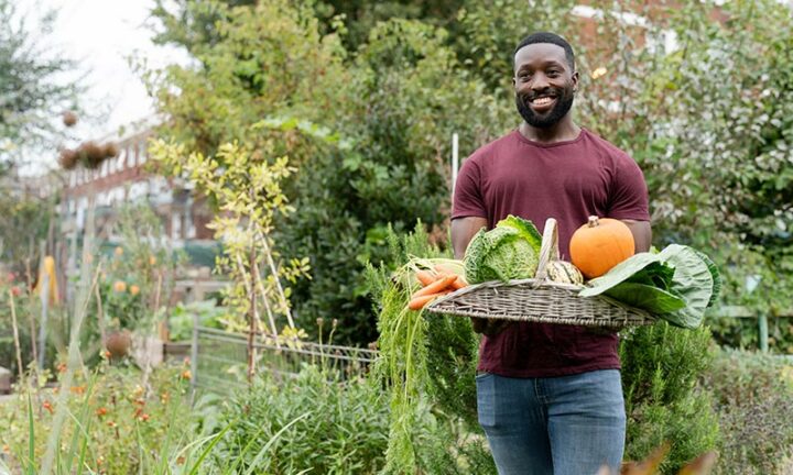 LA société jardinière