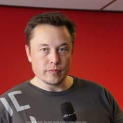 elon lusk