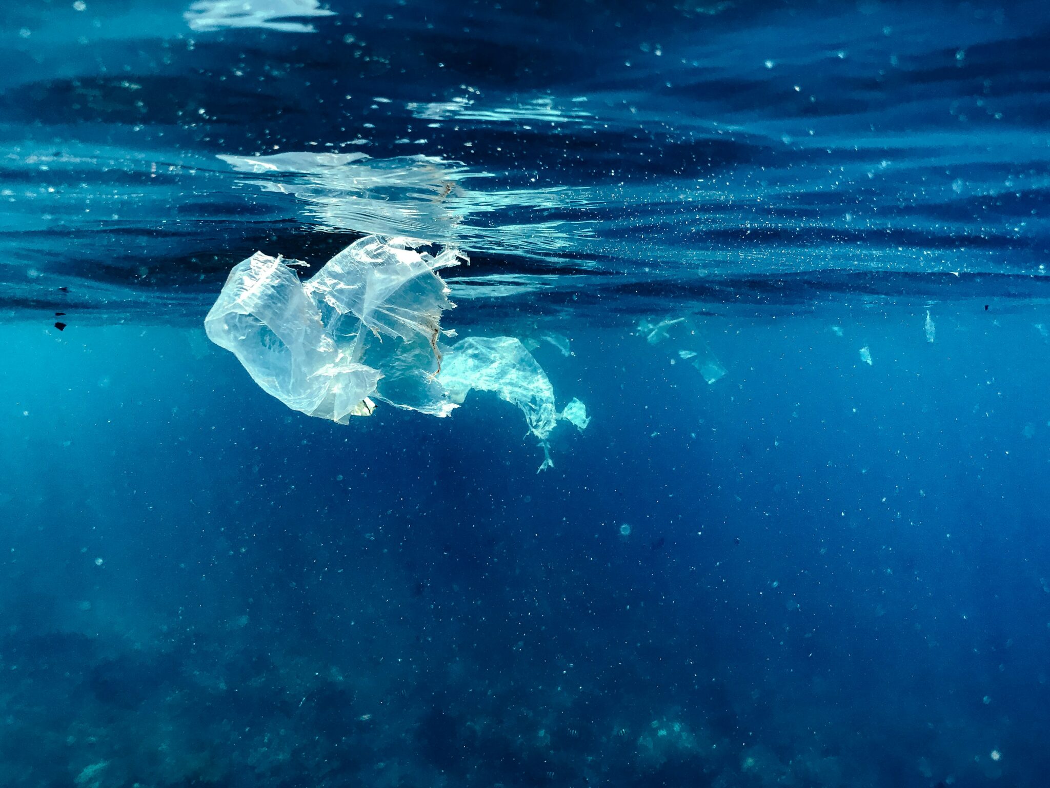 Microplastiques