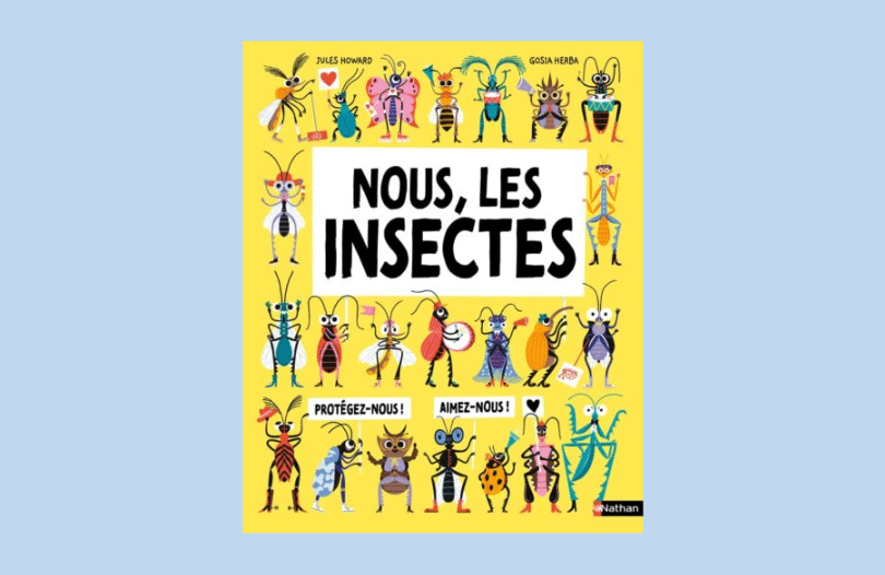 Insectes