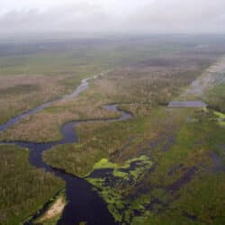 Everglades
